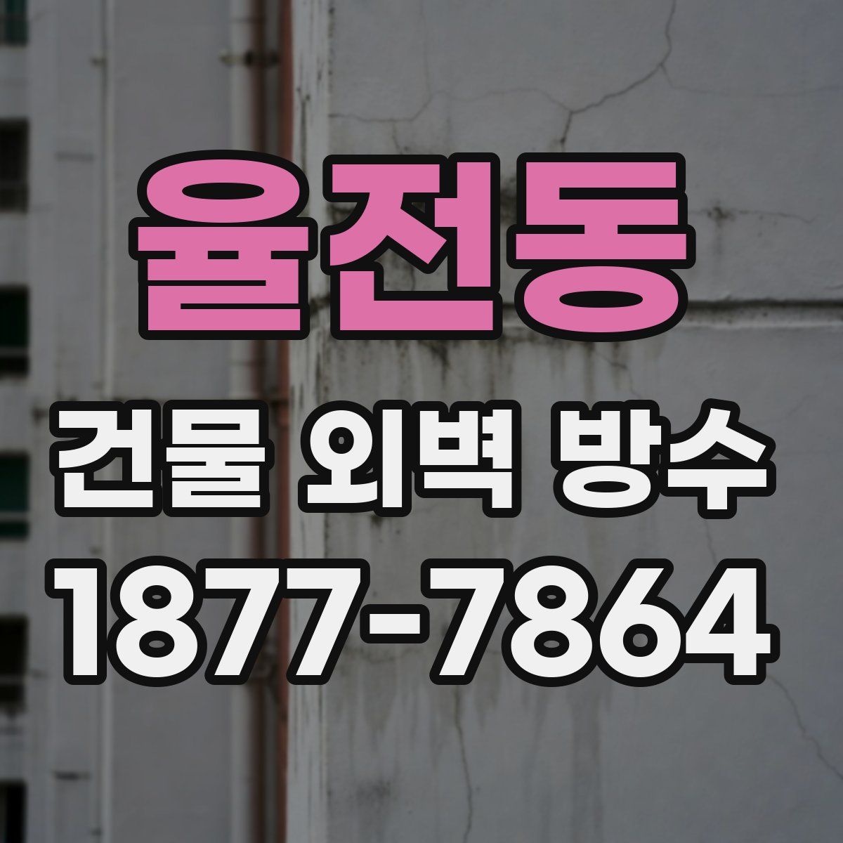 율전동 건물 외벽 방수