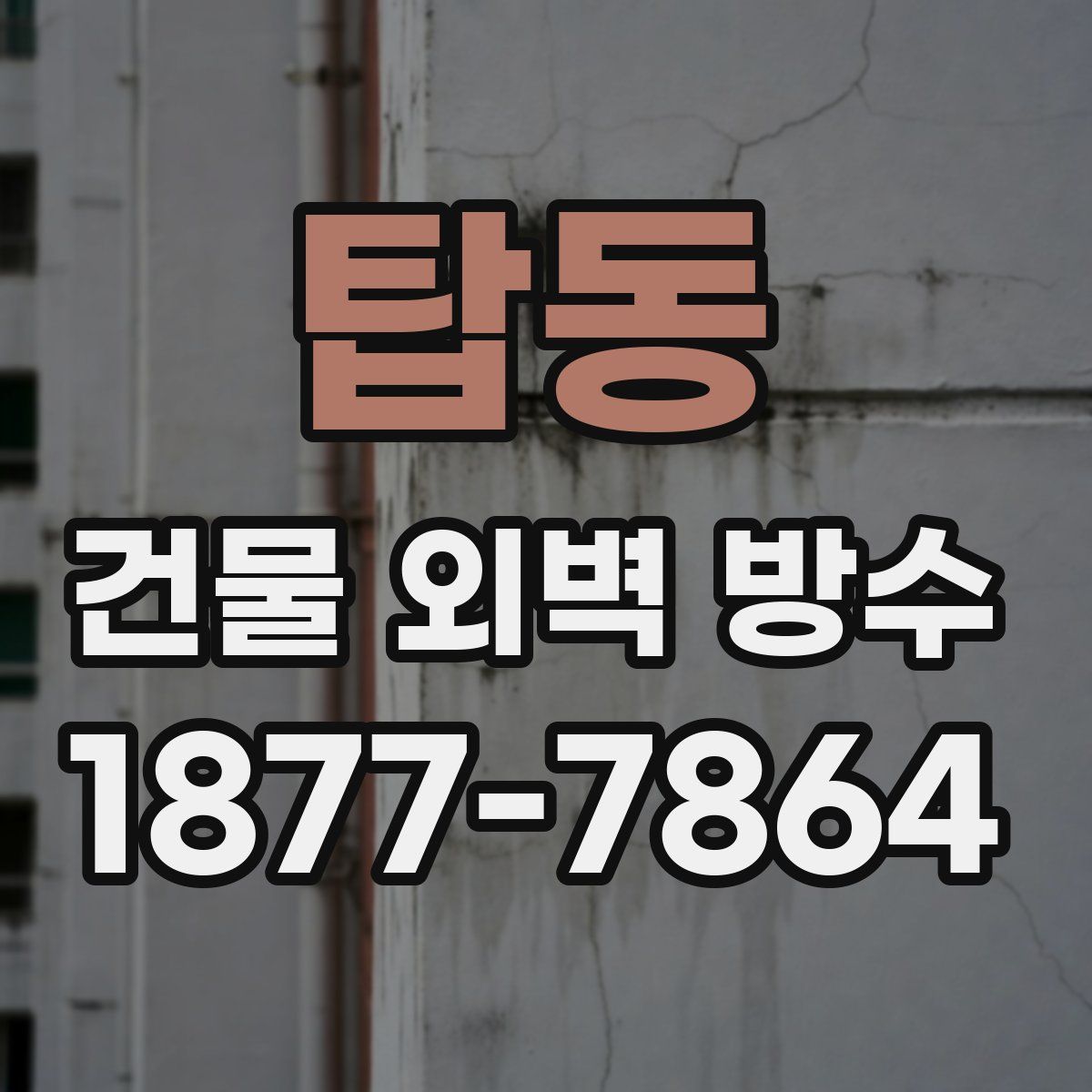 탑동 건물 외벽 방수