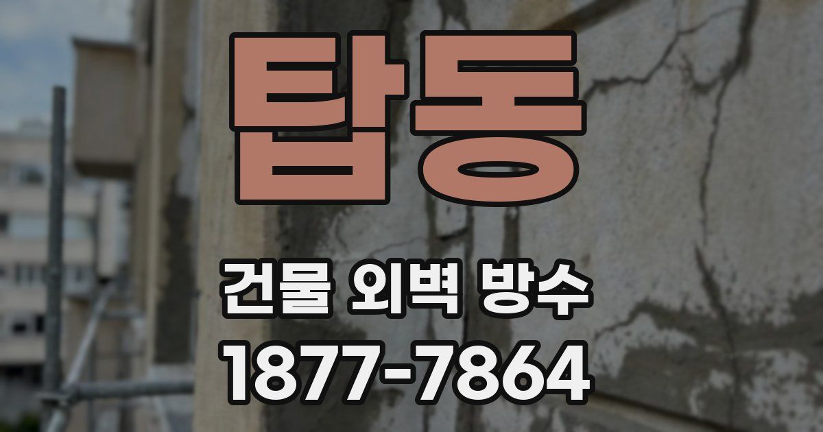 탑동 건물 외벽 방수