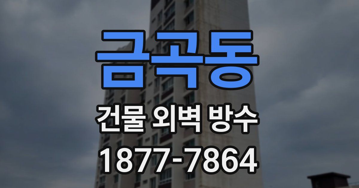 금곡동 건물 외벽 방수