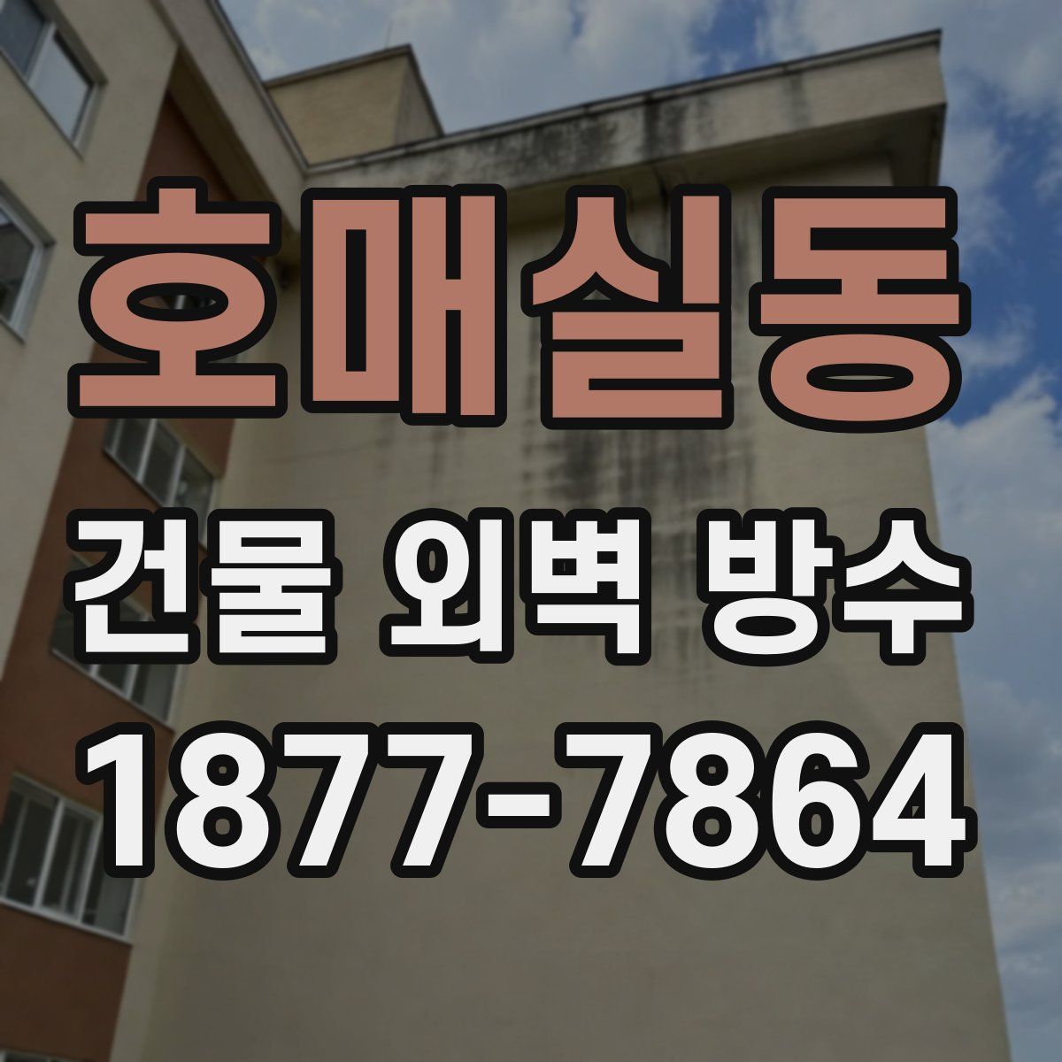 호매실동 건물 외벽 방수