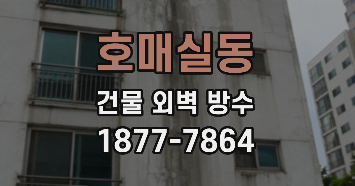 호매실동 건물 외벽 방수
