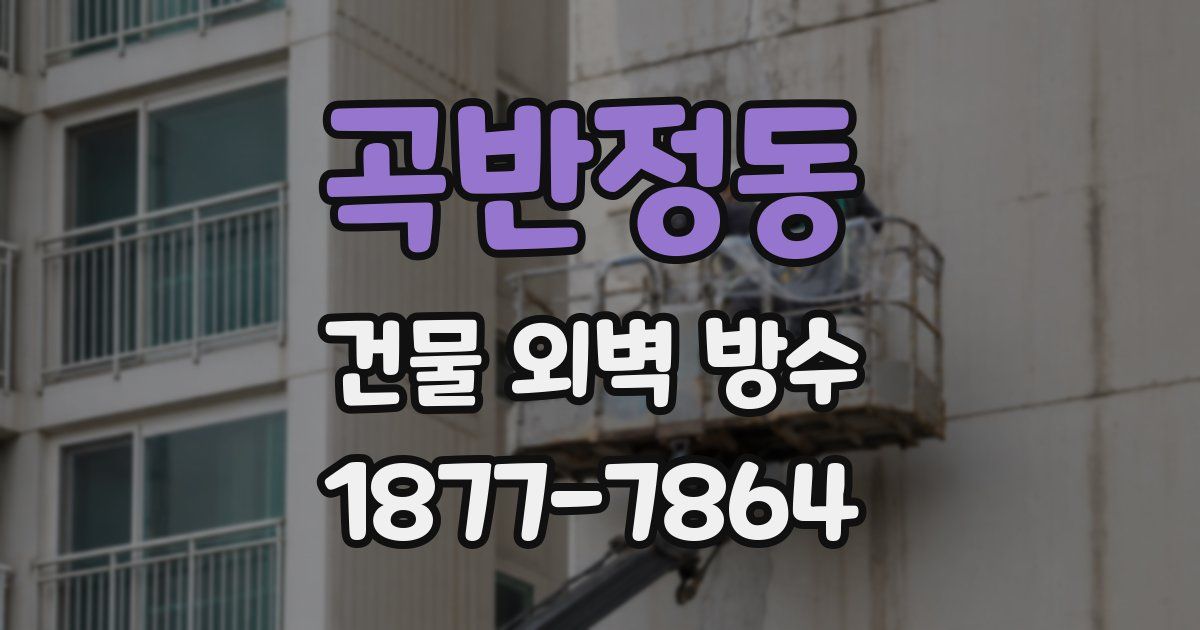 곡반정동 건물 외벽 방수