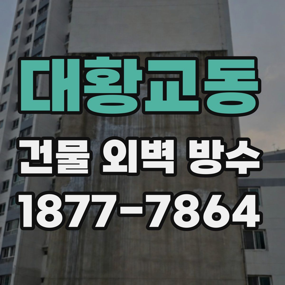 대황교동 건물 외벽 방수