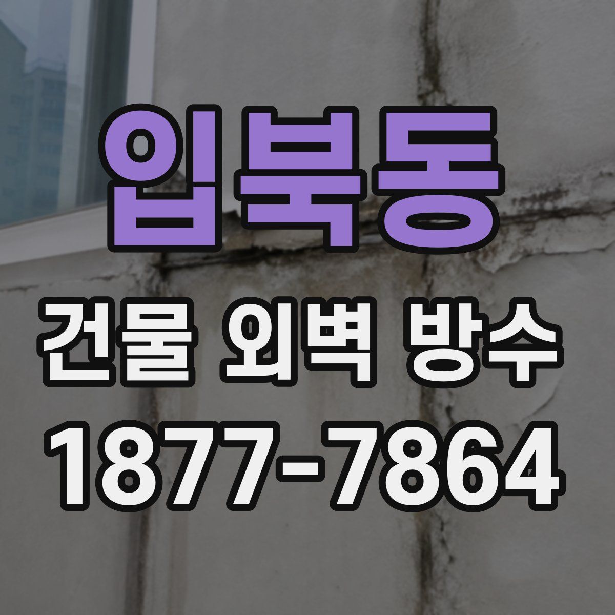 입북동 건물 외벽 방수