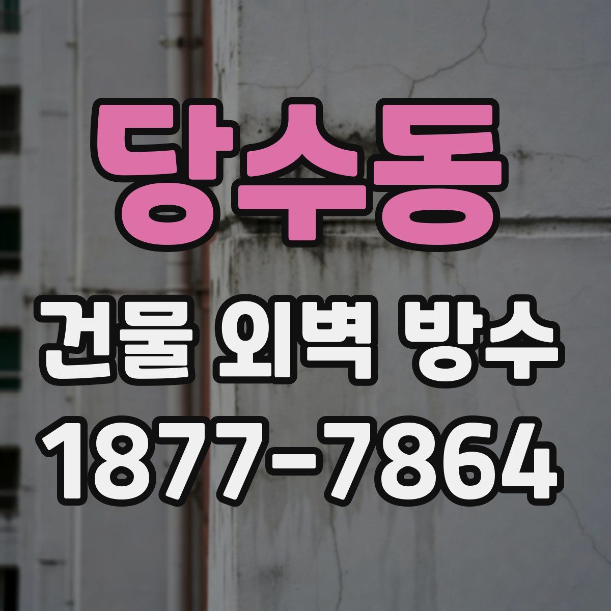 당수동 건물 외벽 방수