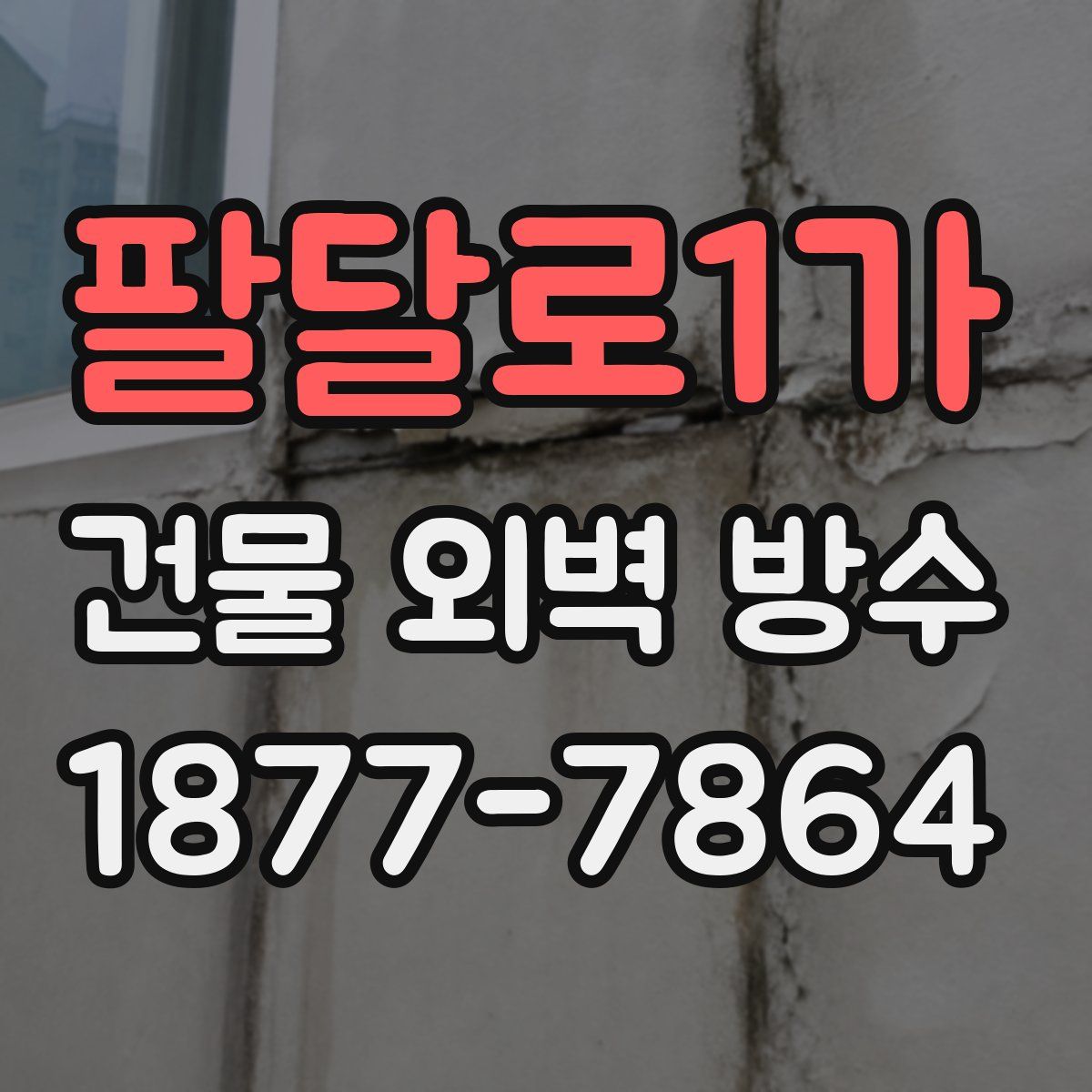 팔달로1가 건물 외벽 방수
