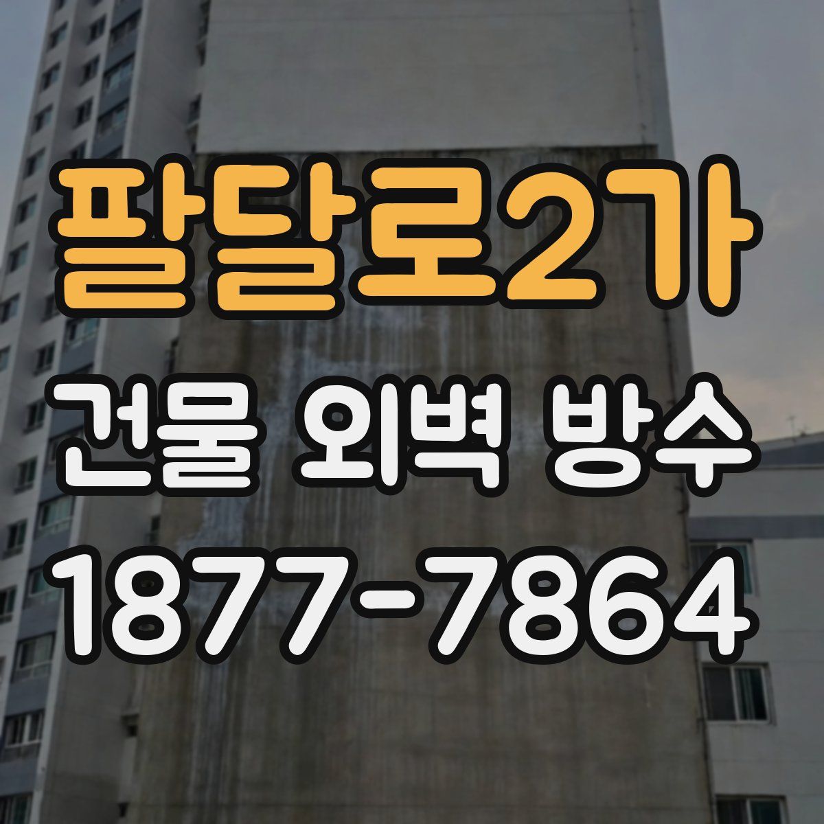 팔달로2가 건물 외벽 방수