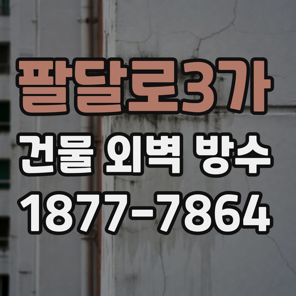 팔달로3가 건물 외벽 방수