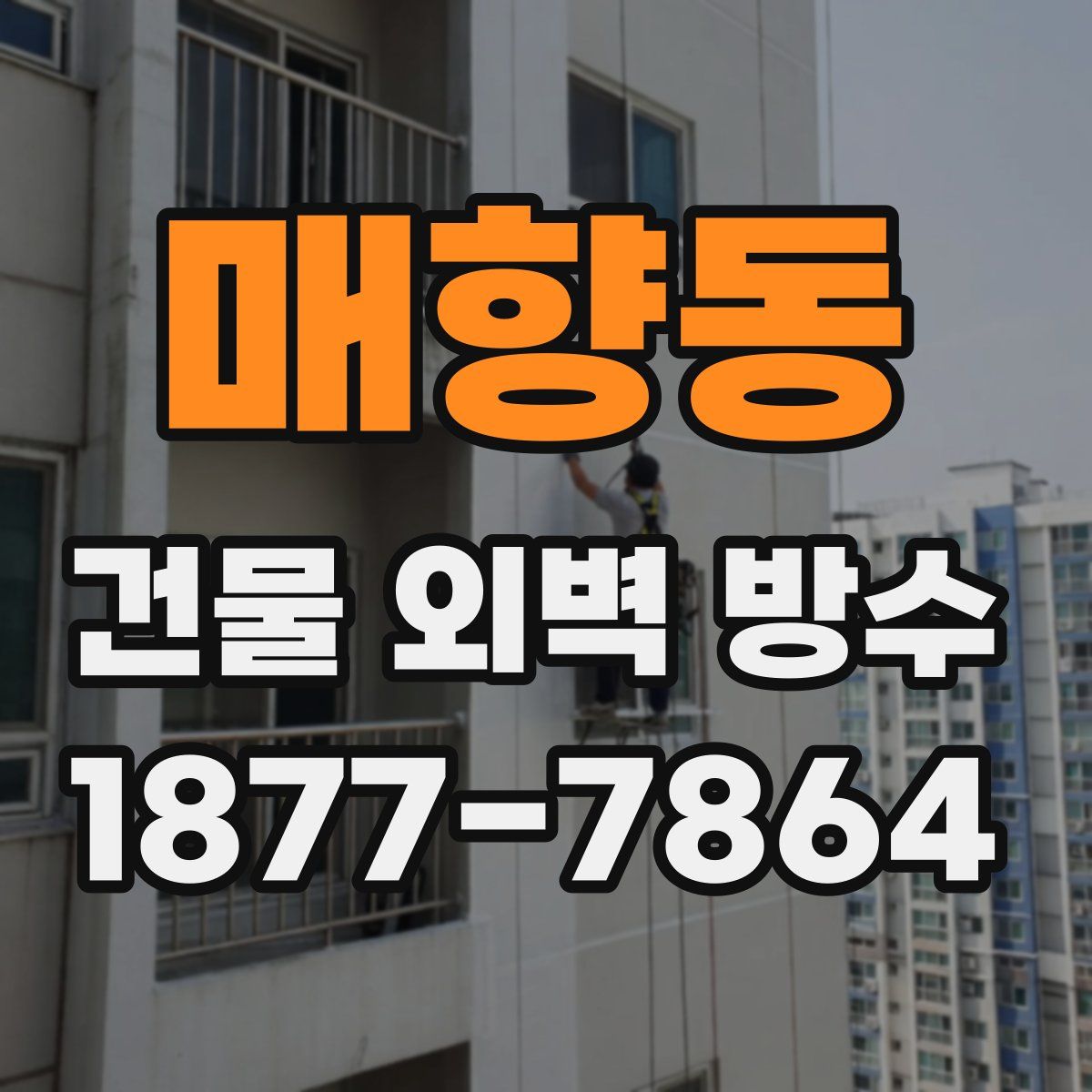 매향동 건물 외벽 방수