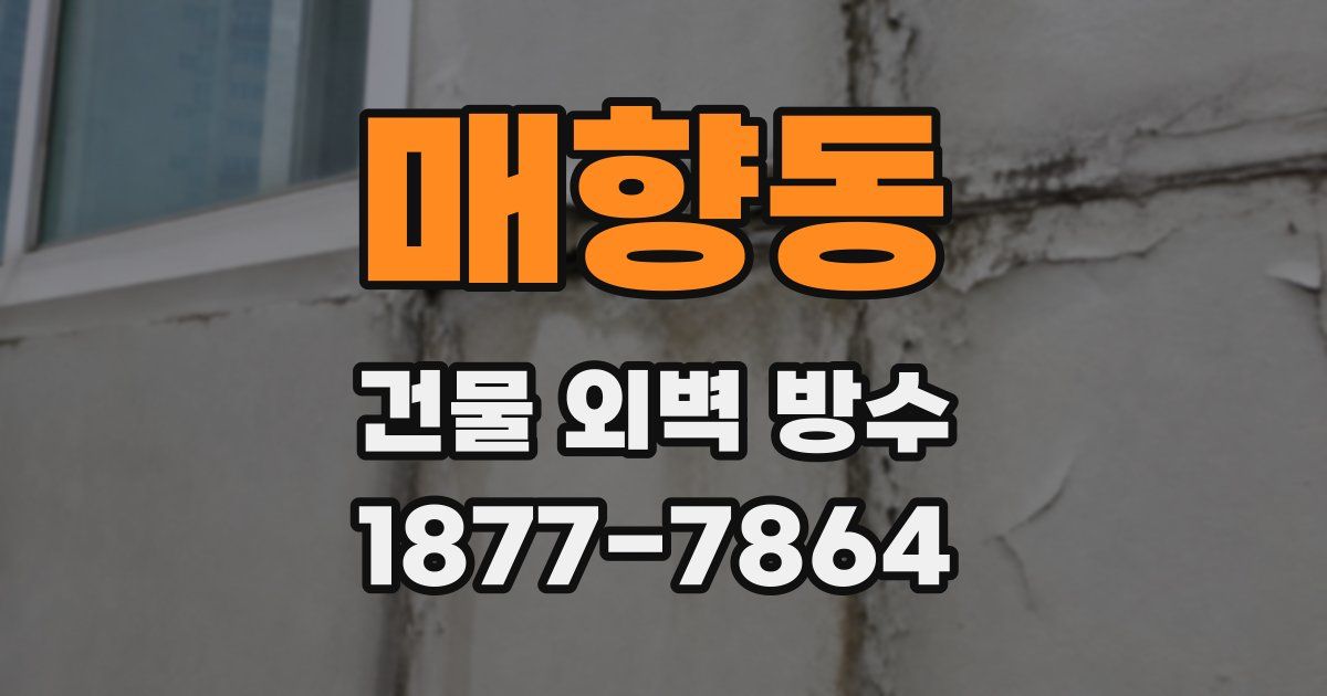 매향동 건물 외벽 방수