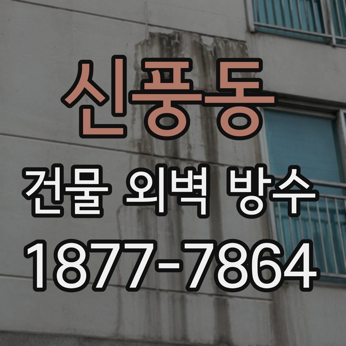 신풍동 건물 외벽 방수