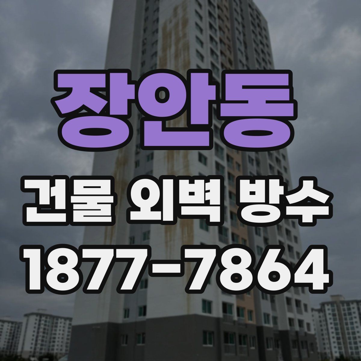 장안동 건물 외벽 방수 사전 점검으로 줄일 수 있는 손실