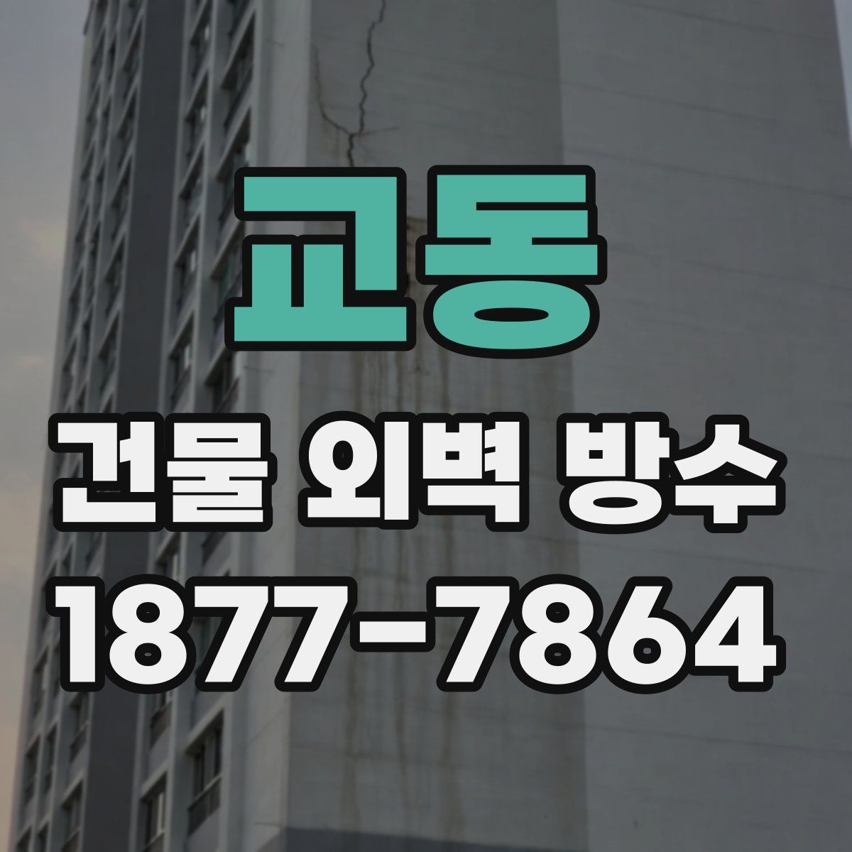 교동 건물 외벽 방수