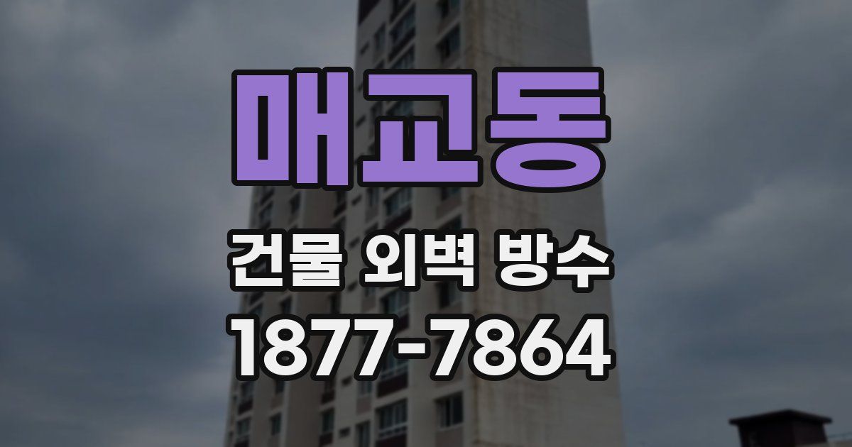 매교동 건물 외벽 방수