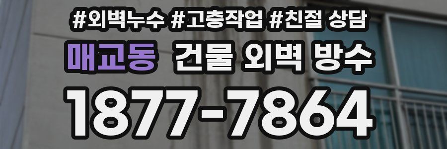 매교동 건물 외벽 방수