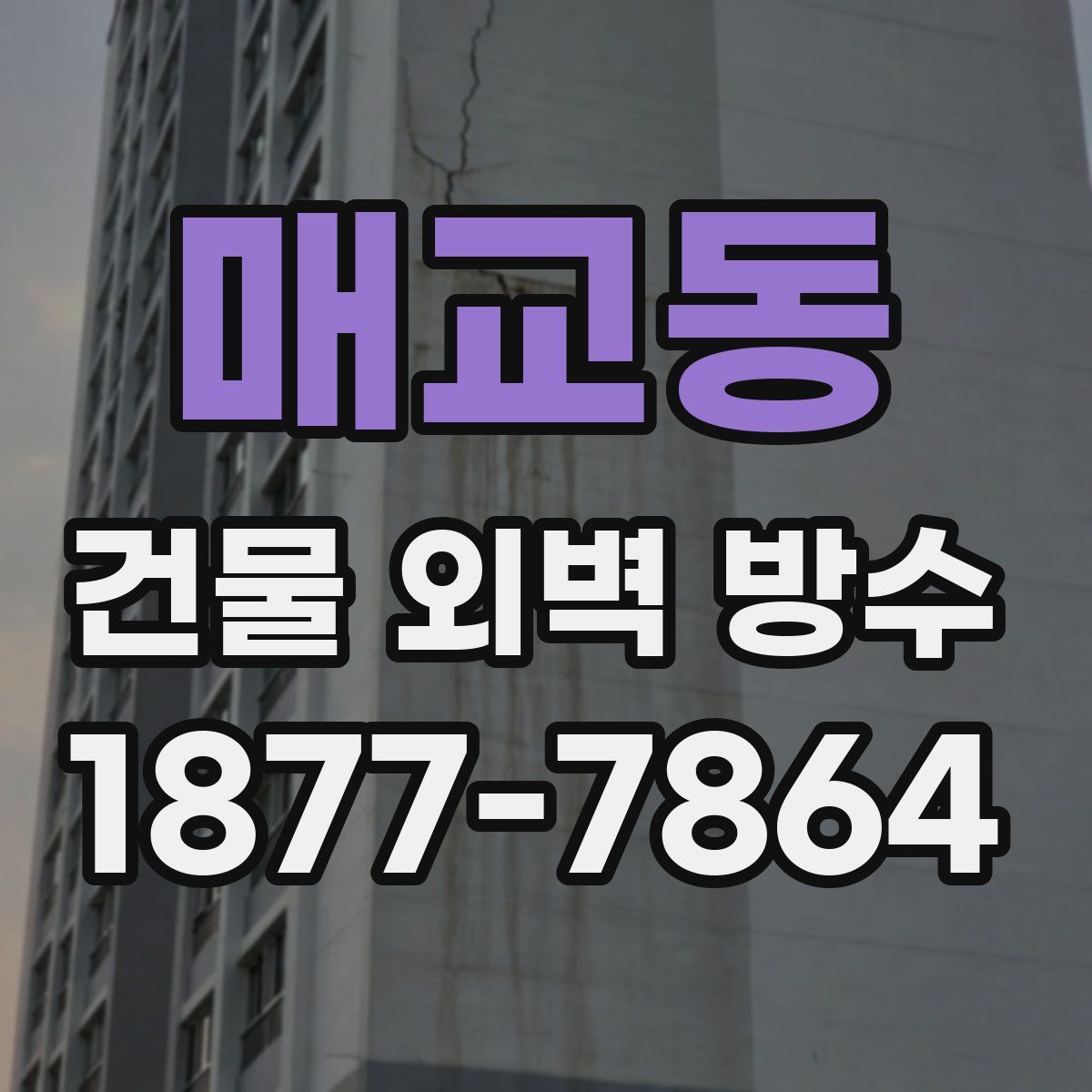 매교동 건물 외벽 방수