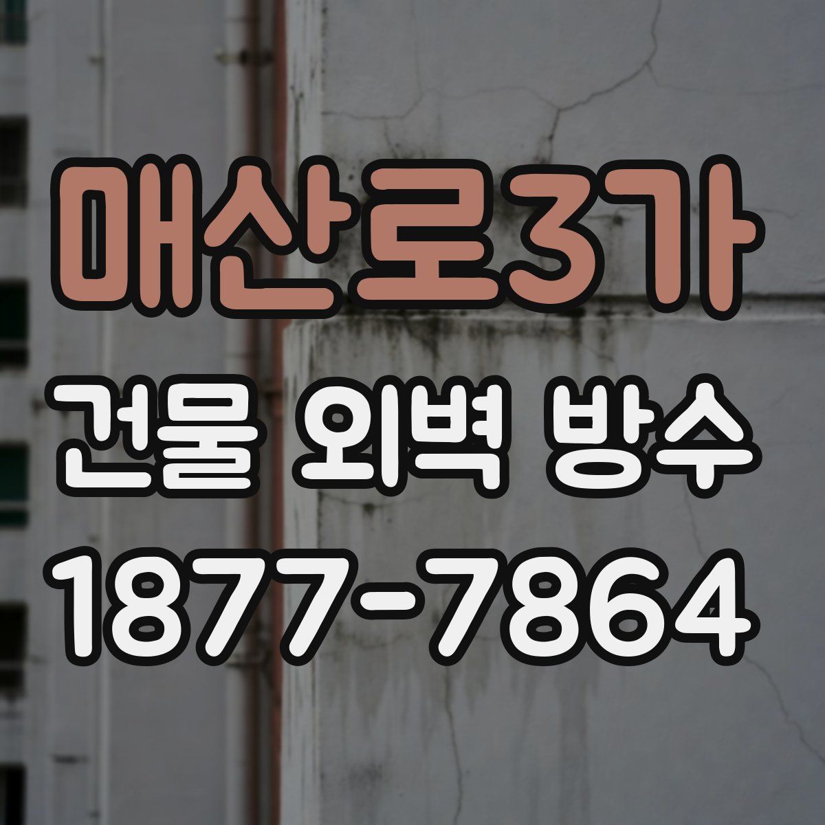 매산로3가 건물 외벽 방수