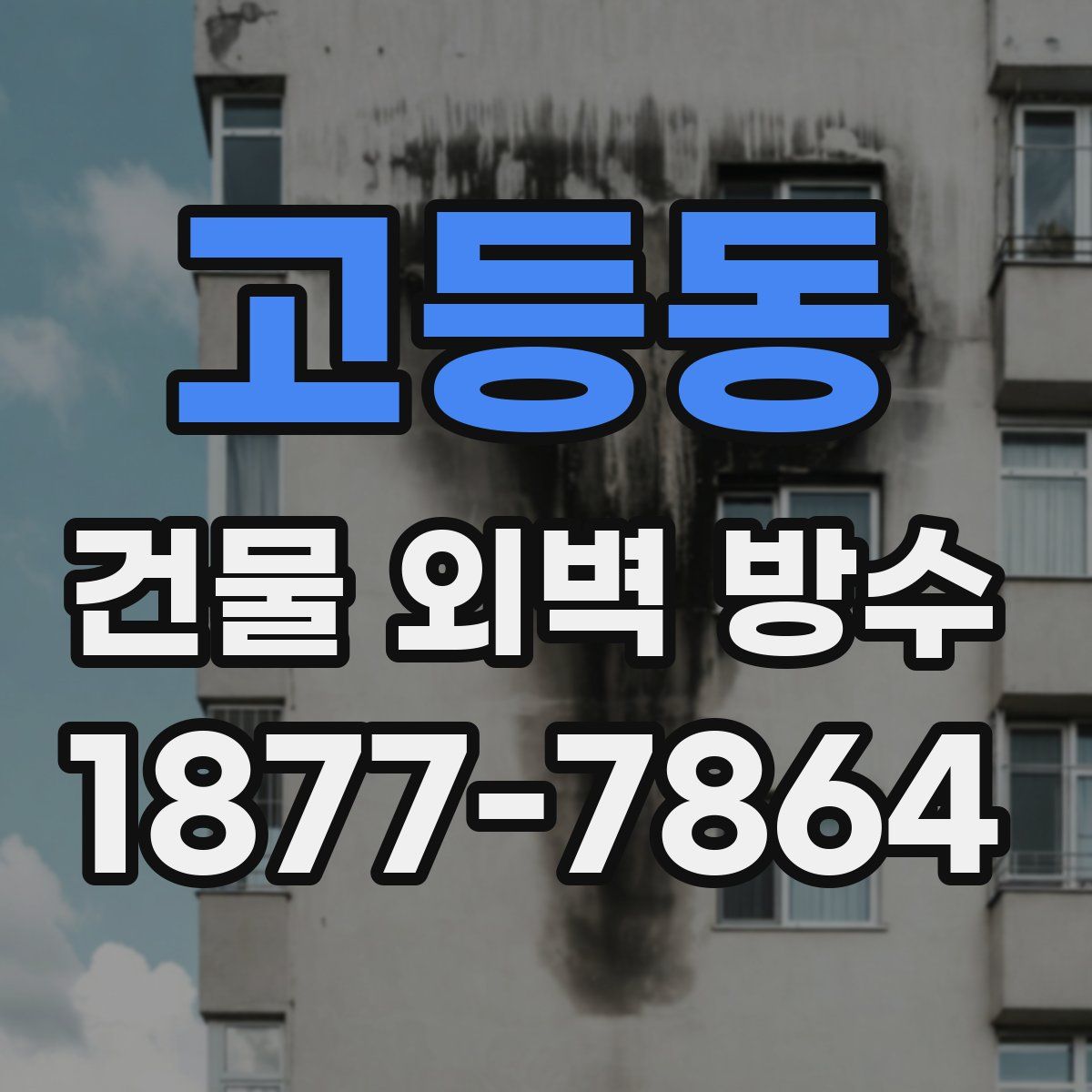 고등동 건물 외벽 방수