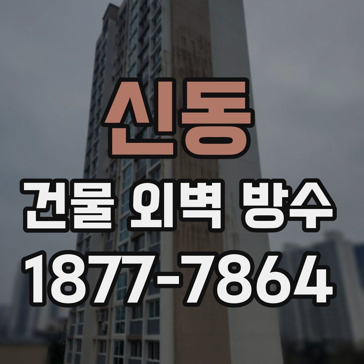 신동 건물 외벽 방수