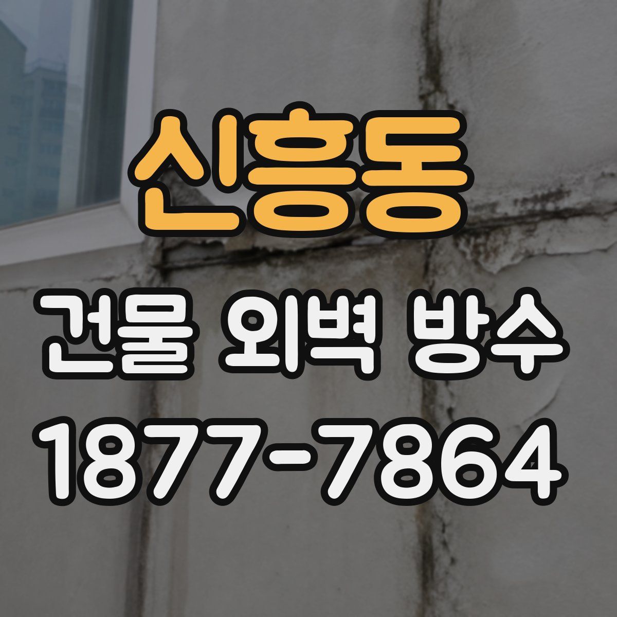 신흥동 건물 외벽 방수