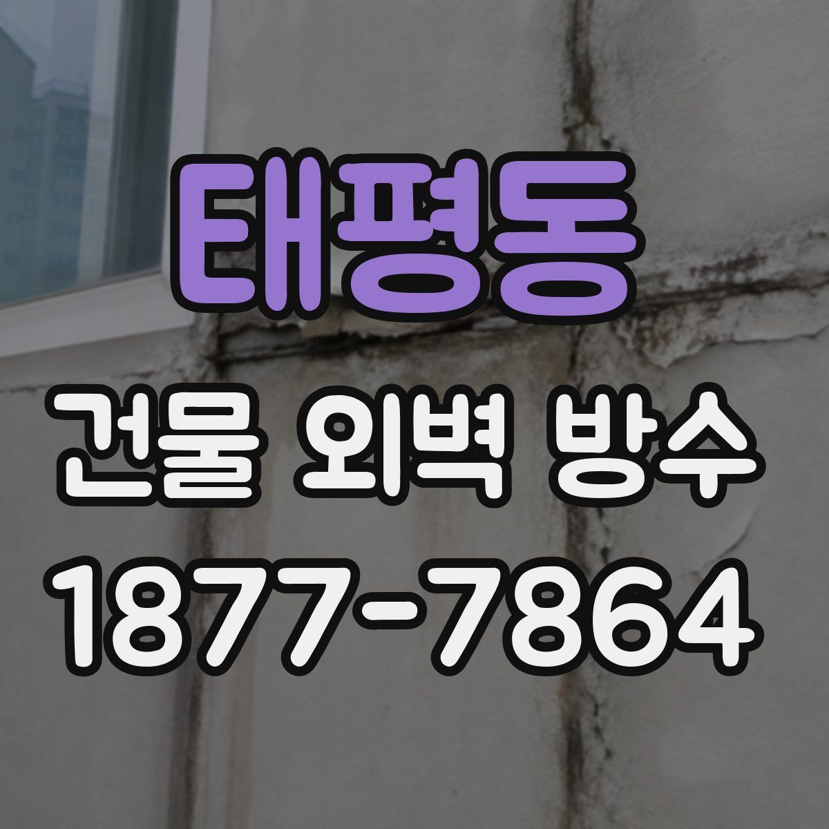 태평동 건물 외벽 방수