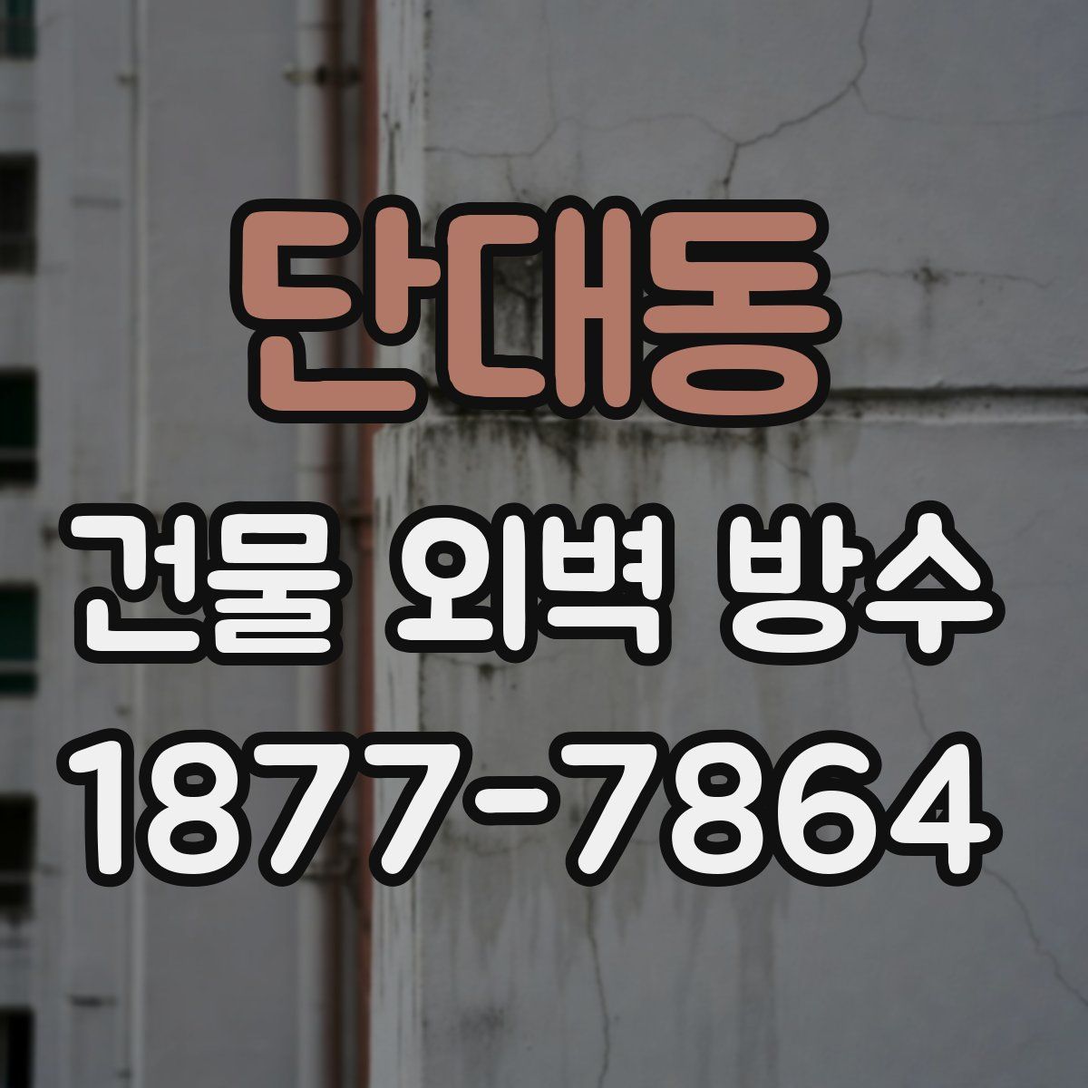 단대동 건물 외벽 방수