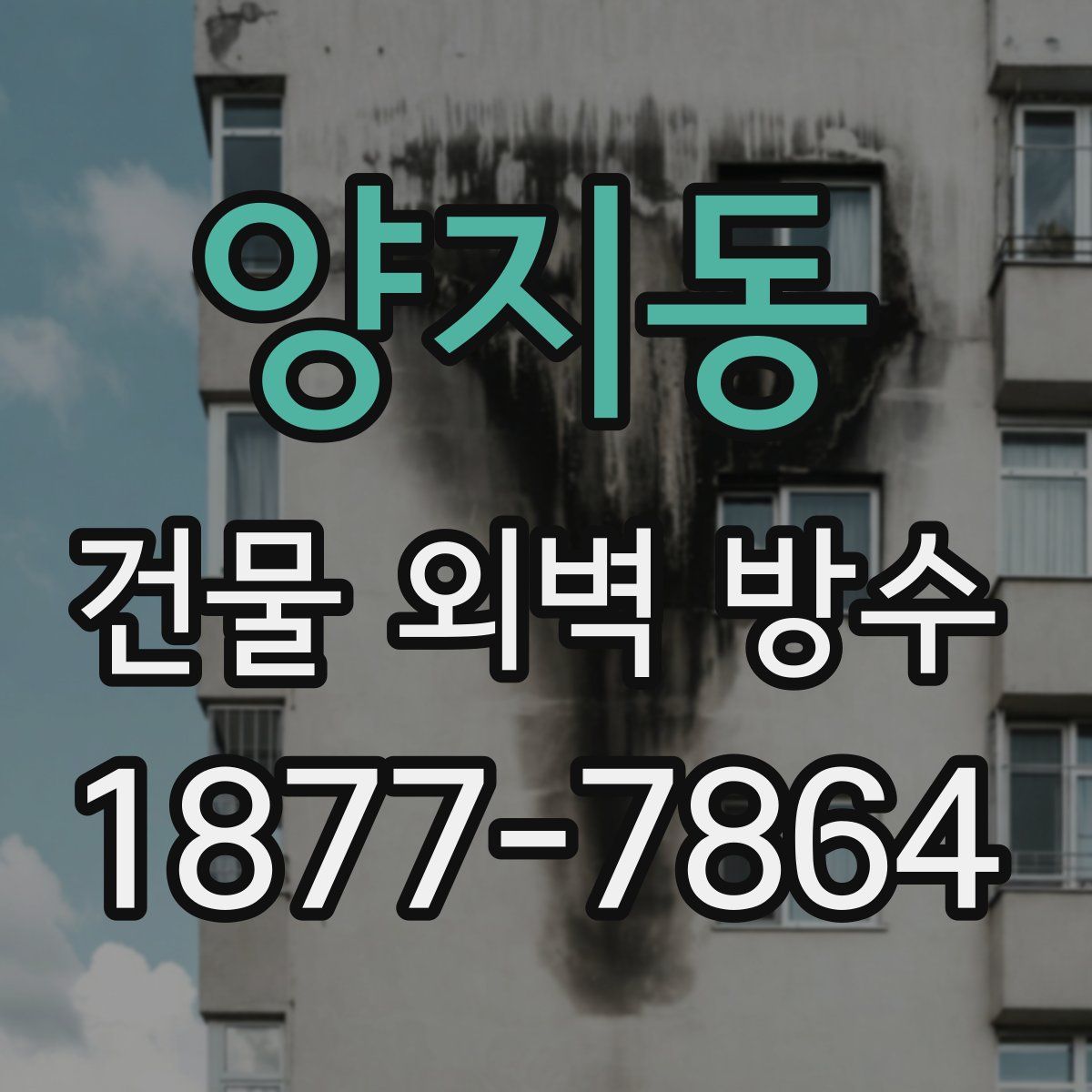 양지동 건물 외벽 방수