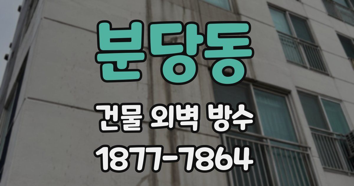 분당동 건물 외벽 방수