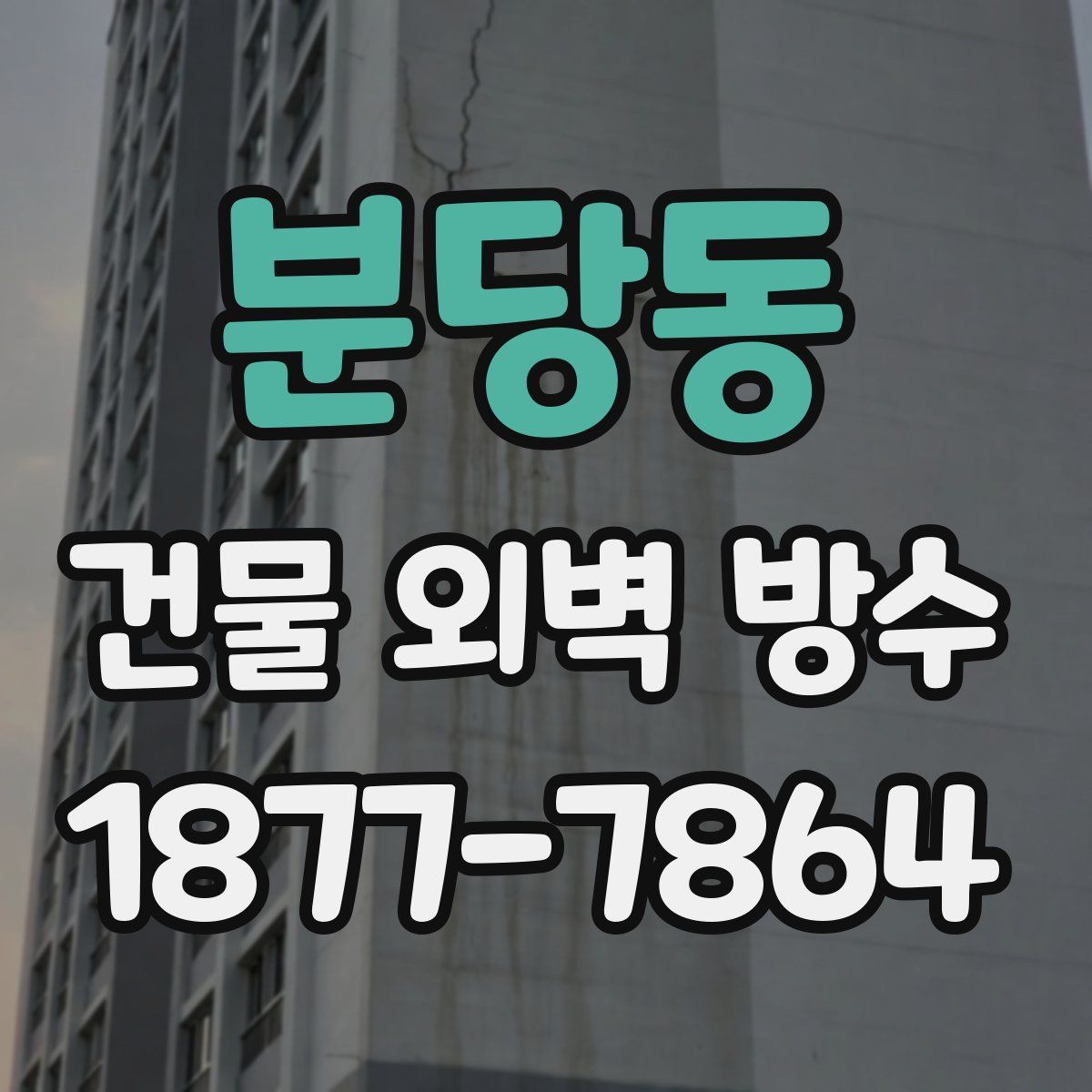 분당동 건물 외벽 방수