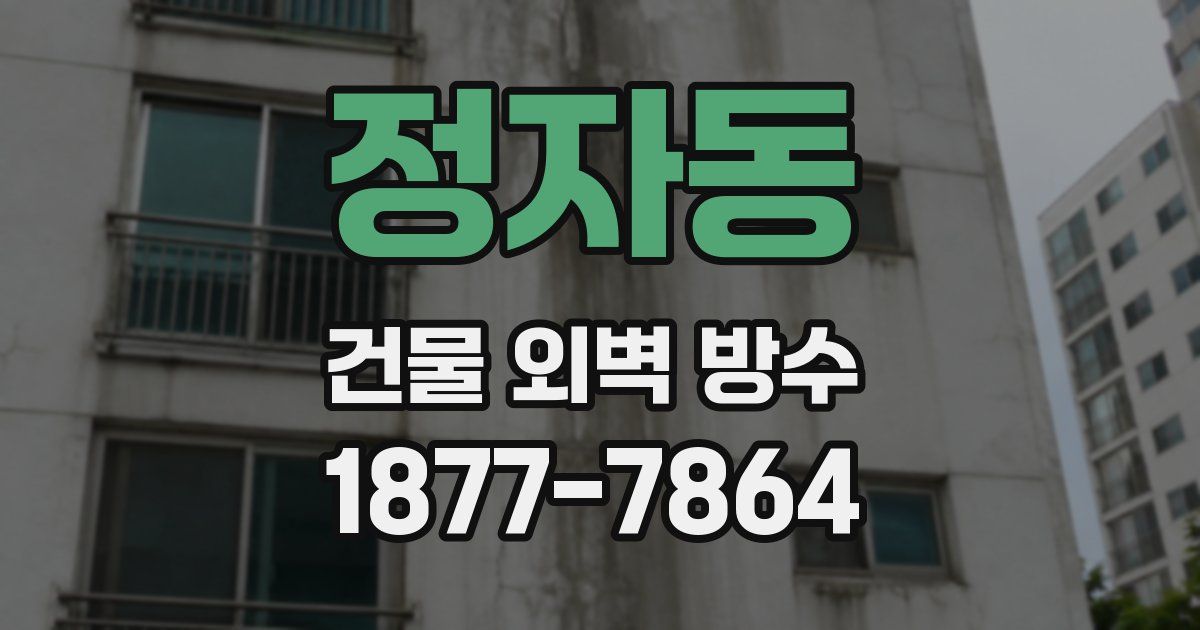 정자동 건물 외벽 방수