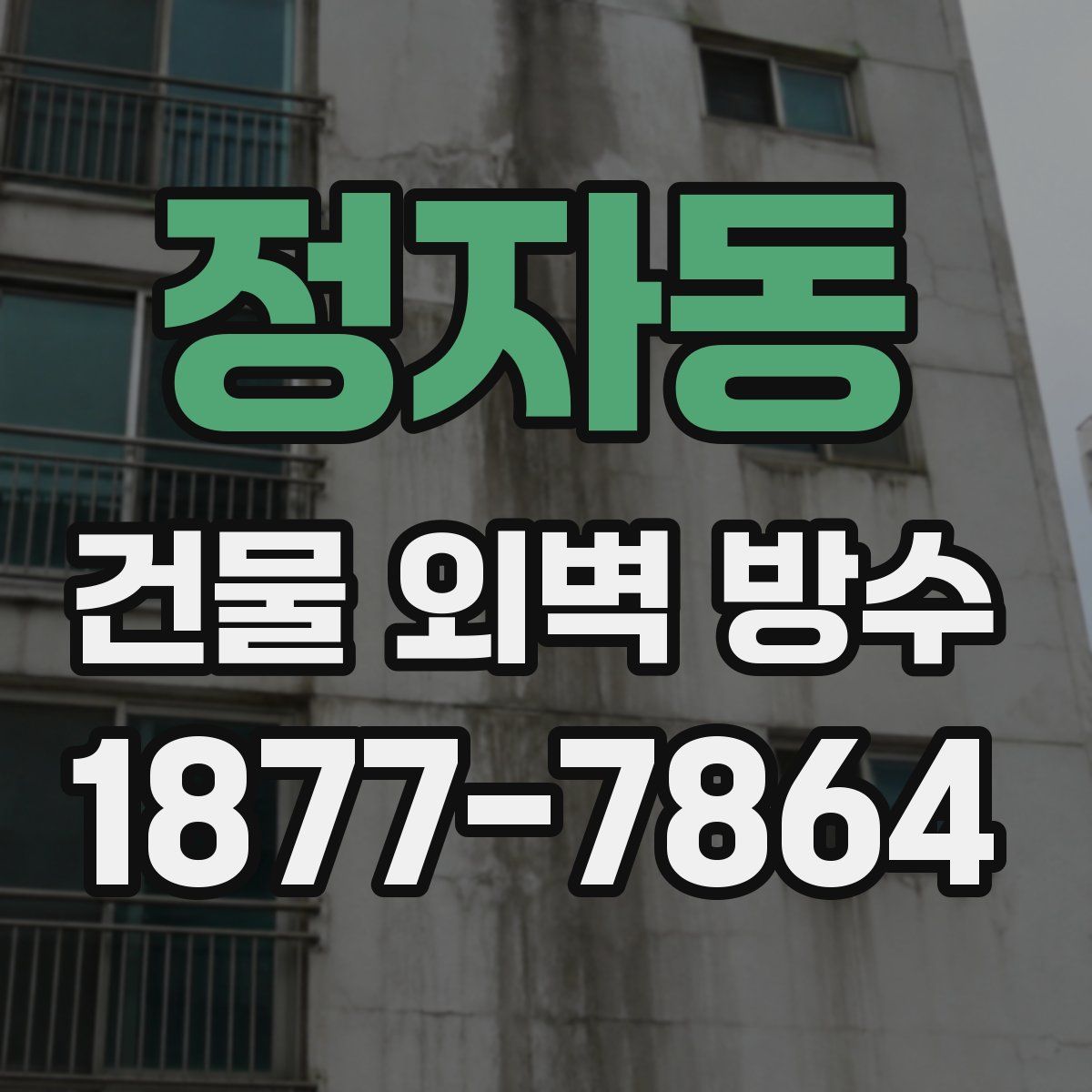 정자동 건물 외벽 방수