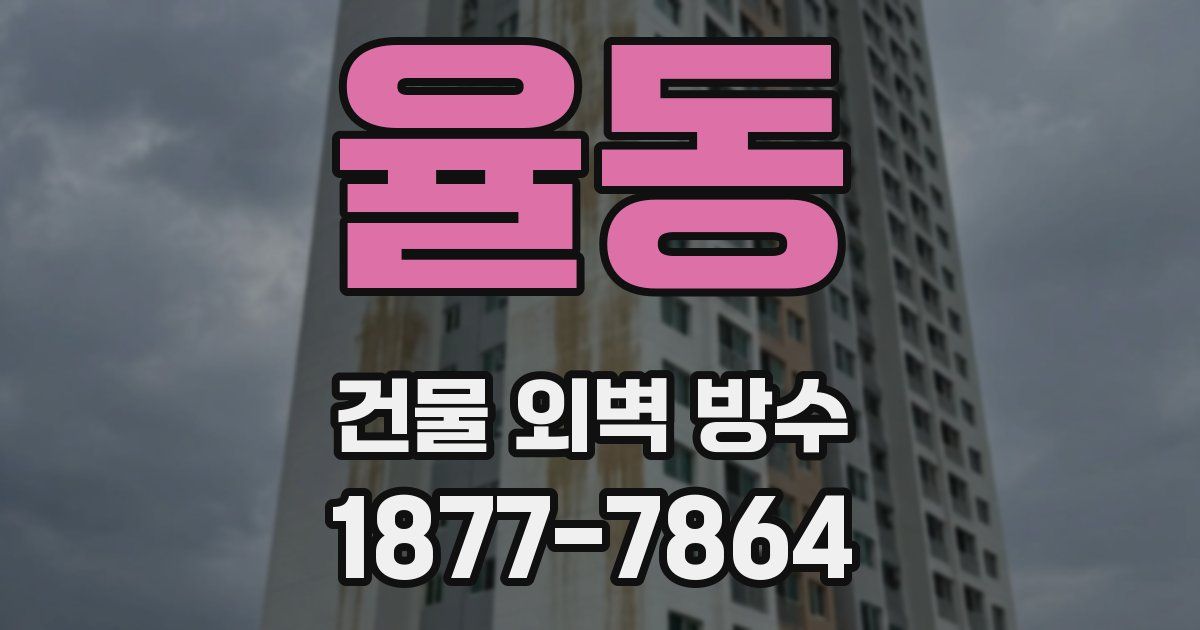 율동 건물 외벽 방수