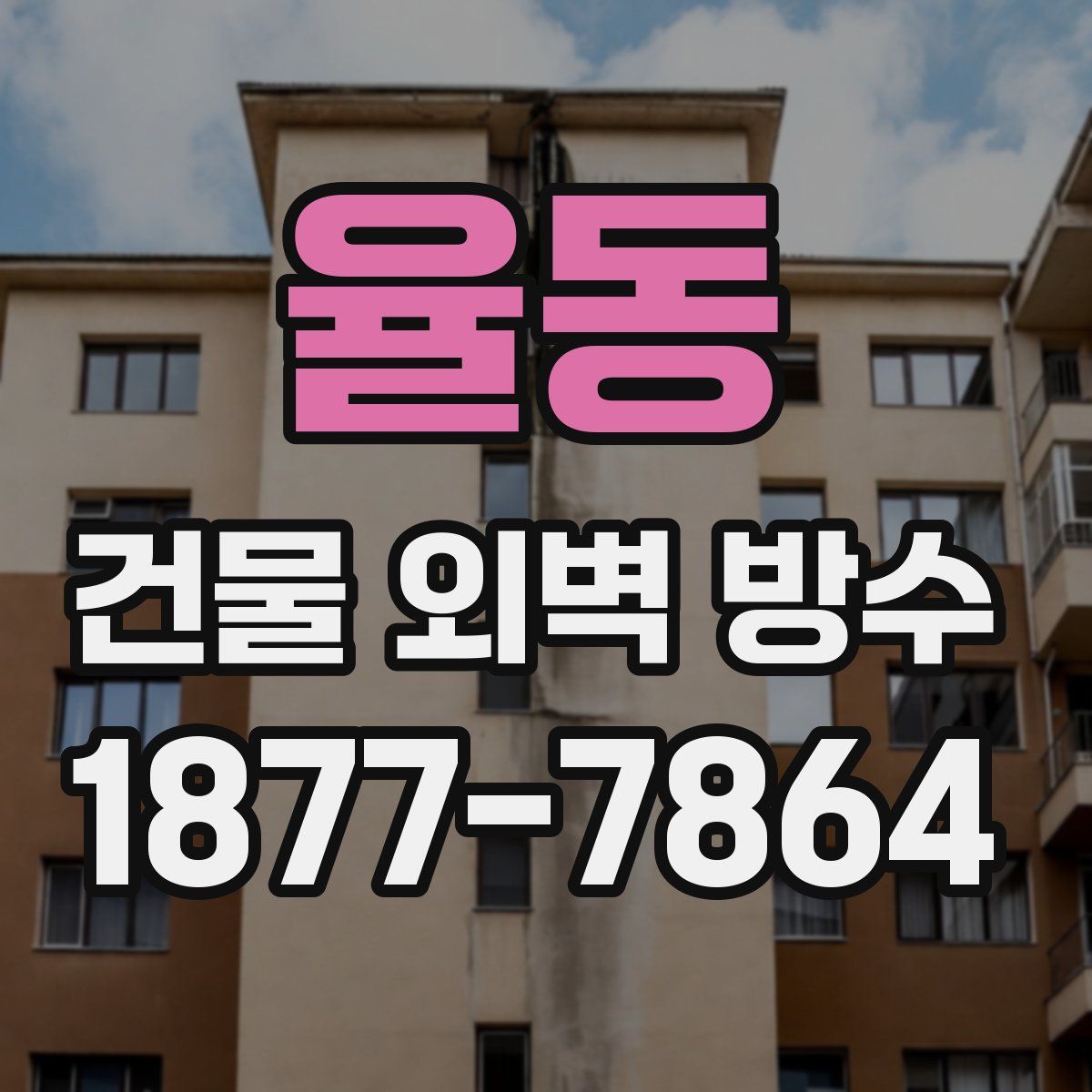 율동 건물 외벽 방수
