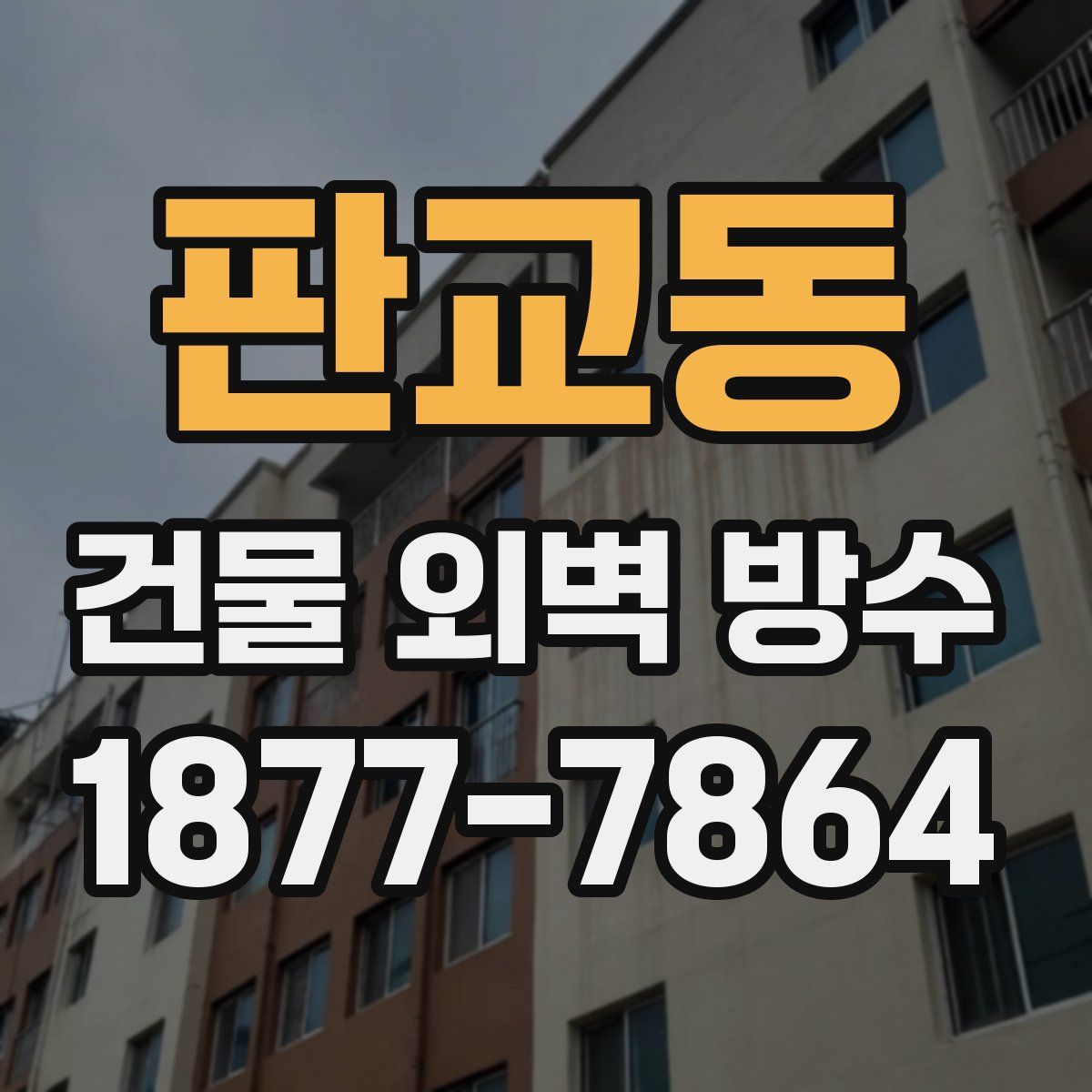판교동 건물 외벽 방수