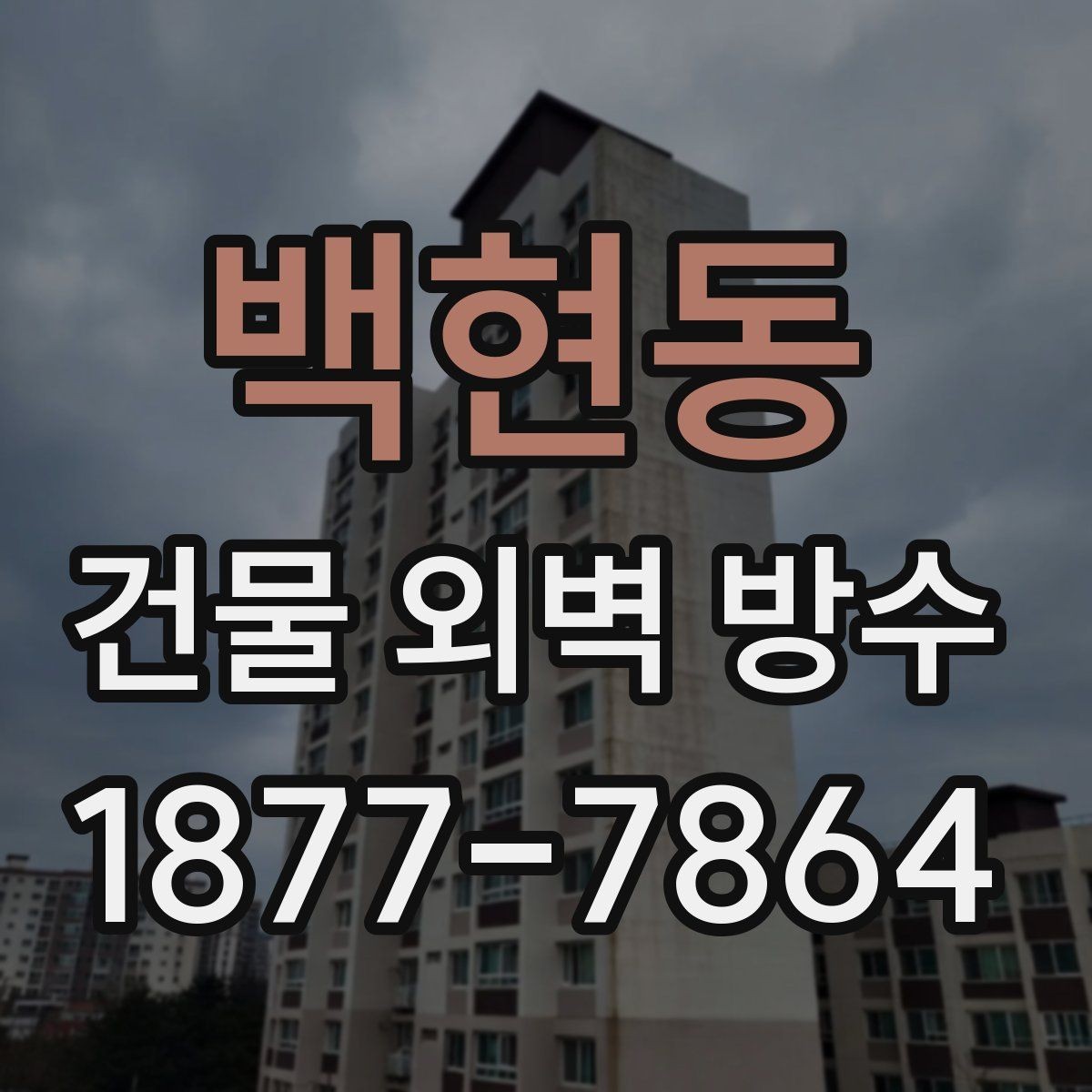 백현동 건물 외벽 방수 비용을 좌우하는 현장 조건