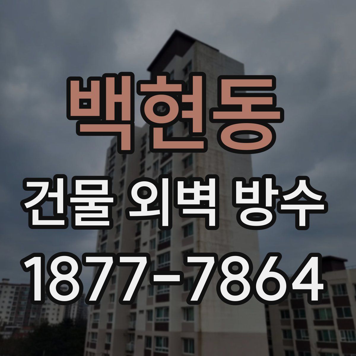 백현동 건물 외벽 방수