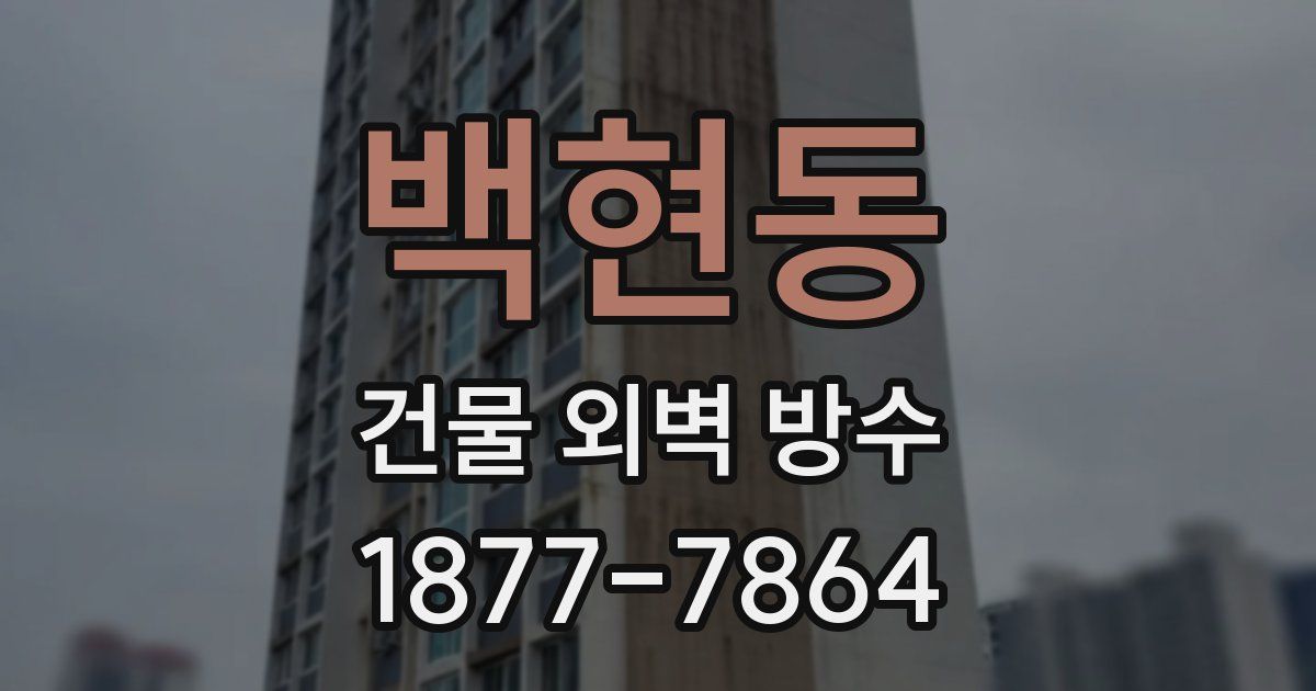 백현동 건물 외벽 방수