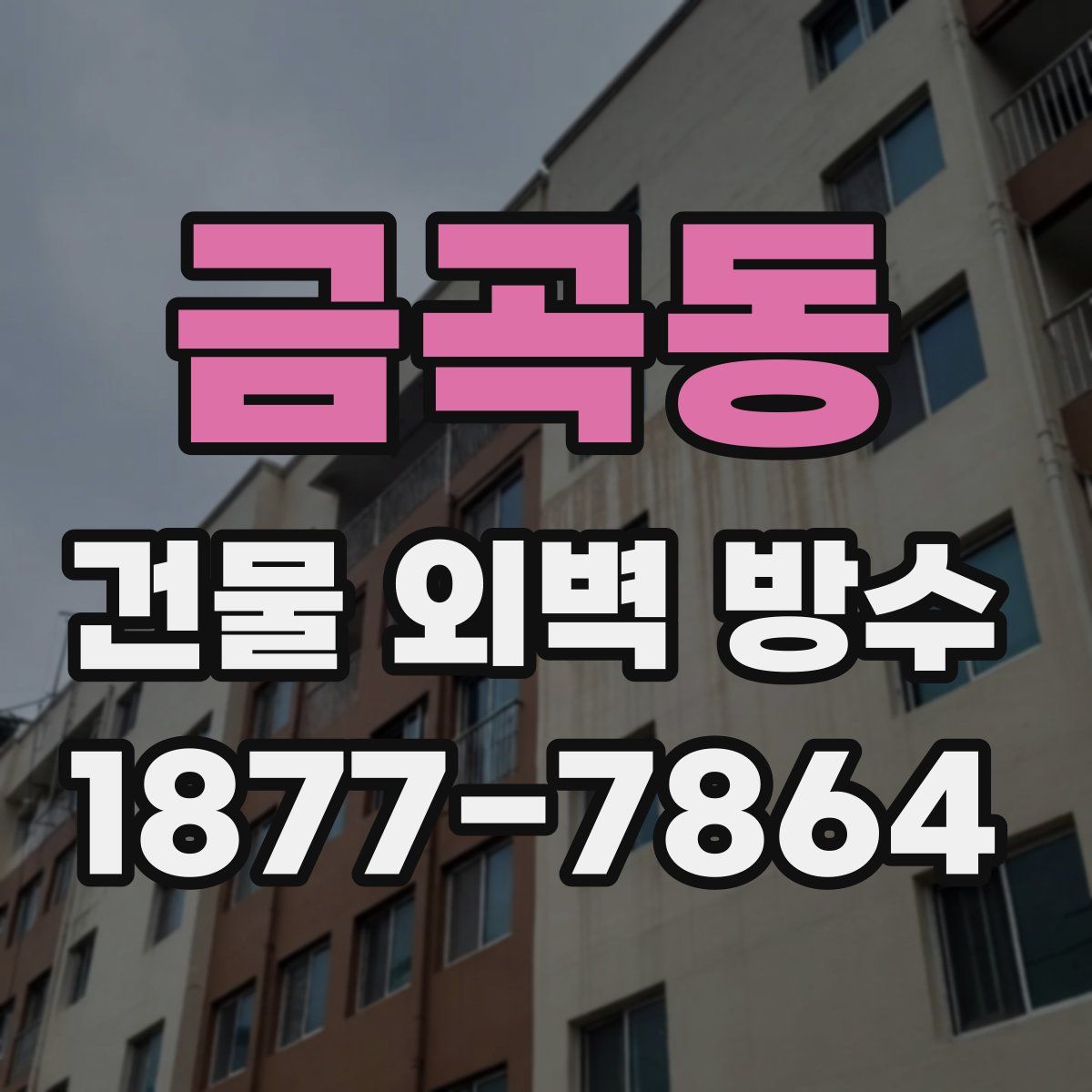 금곡동 건물 외벽 방수