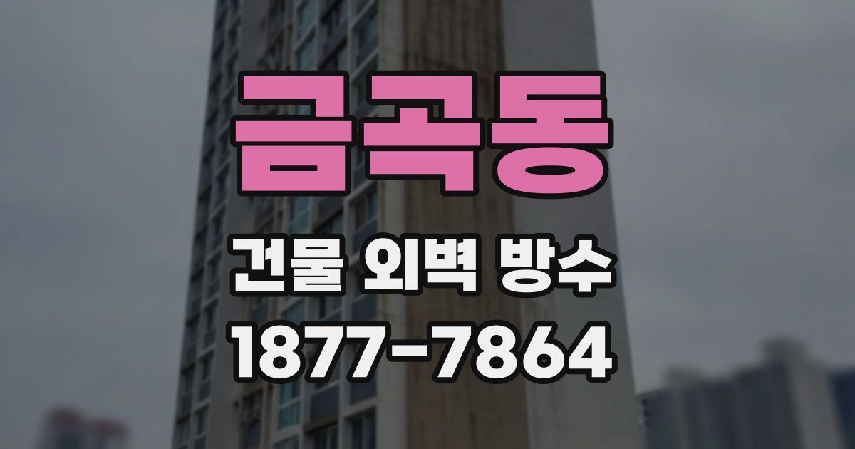 금곡동 건물 외벽 방수