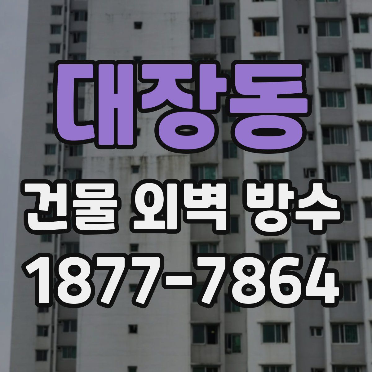 대장동 건물 외벽 방수