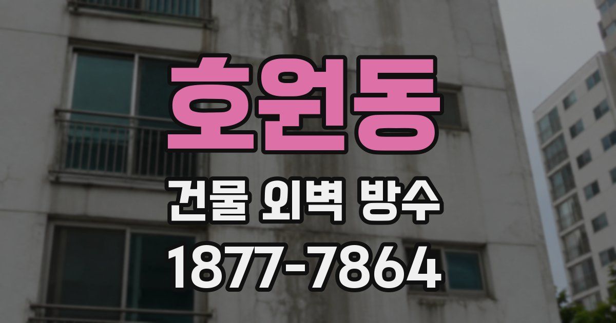 호원동 건물 외벽 방수