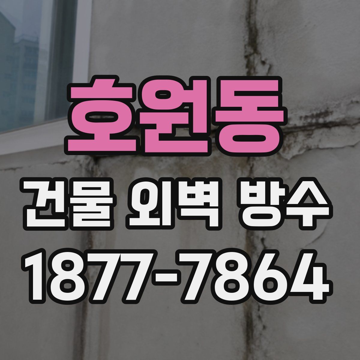 호원동 건물 외벽 방수