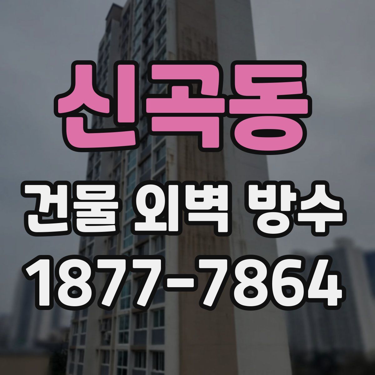 신곡동 건물 외벽 방수