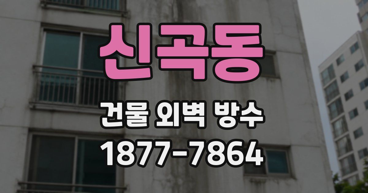 신곡동 건물 외벽 방수