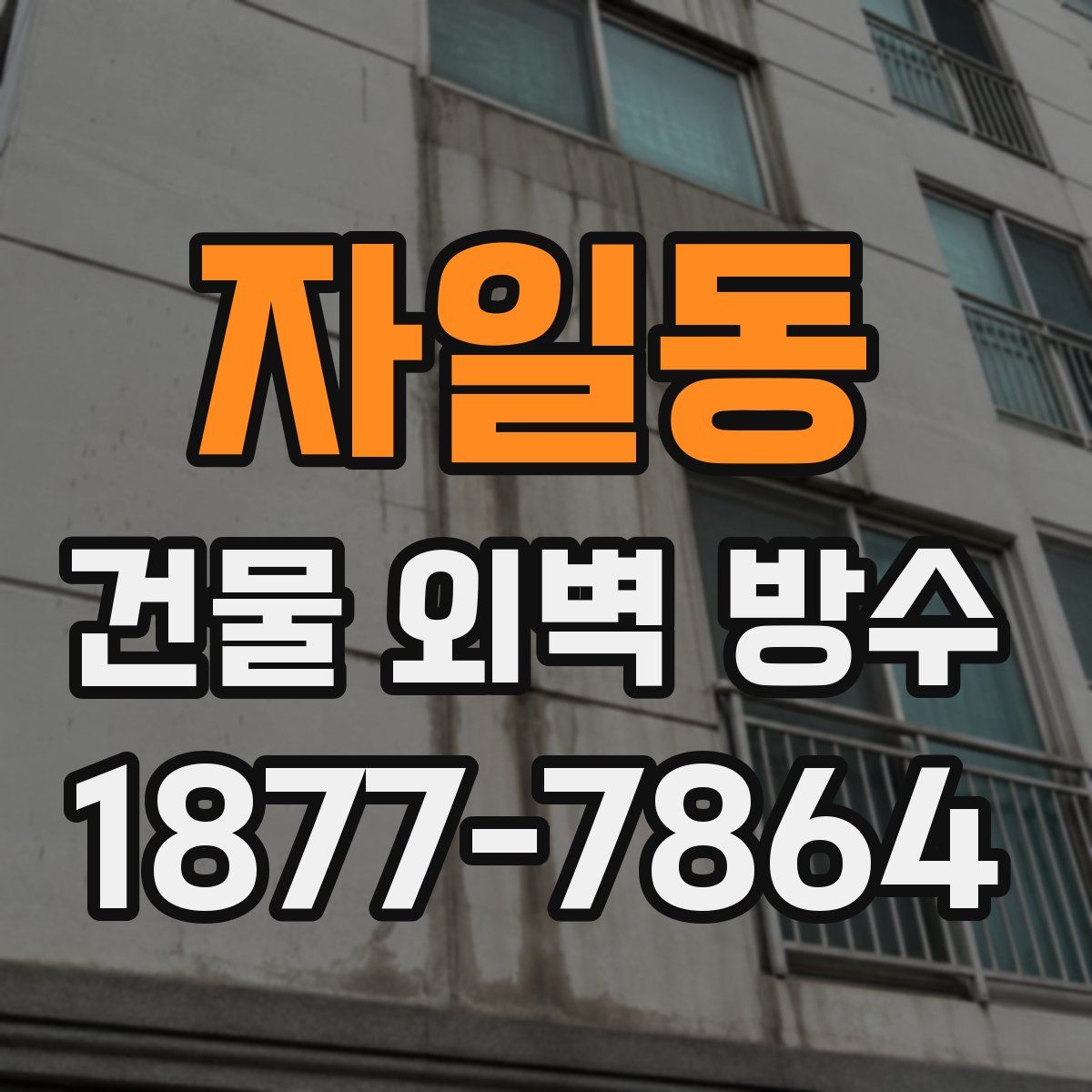 자일동 건물 외벽 방수