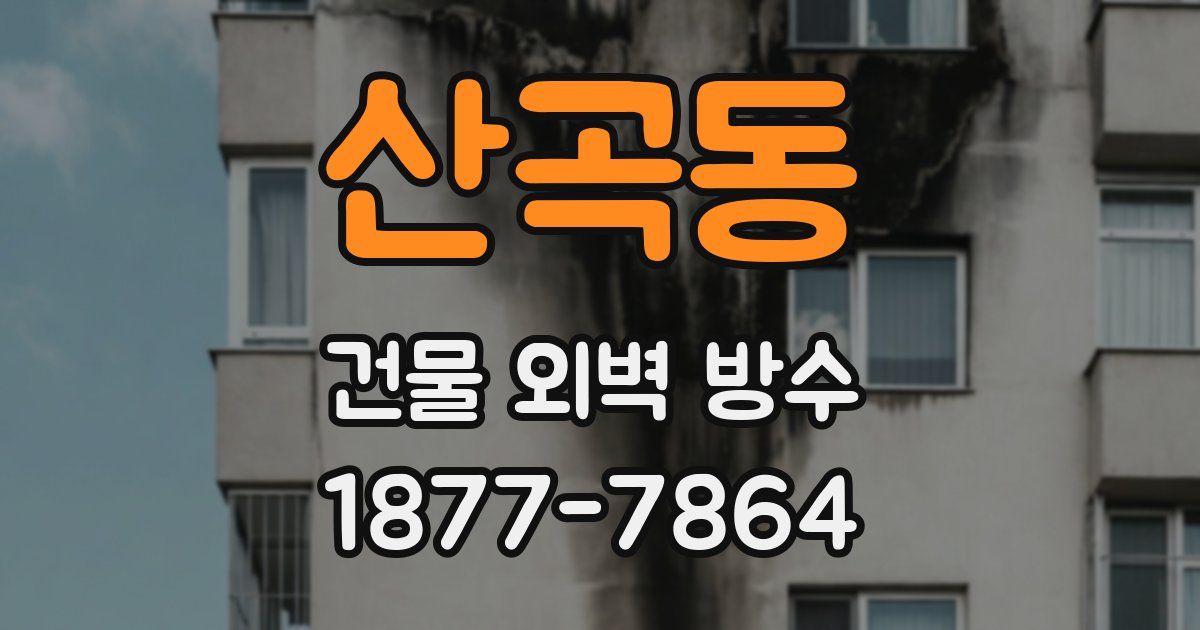 산곡동 건물 외벽 방수