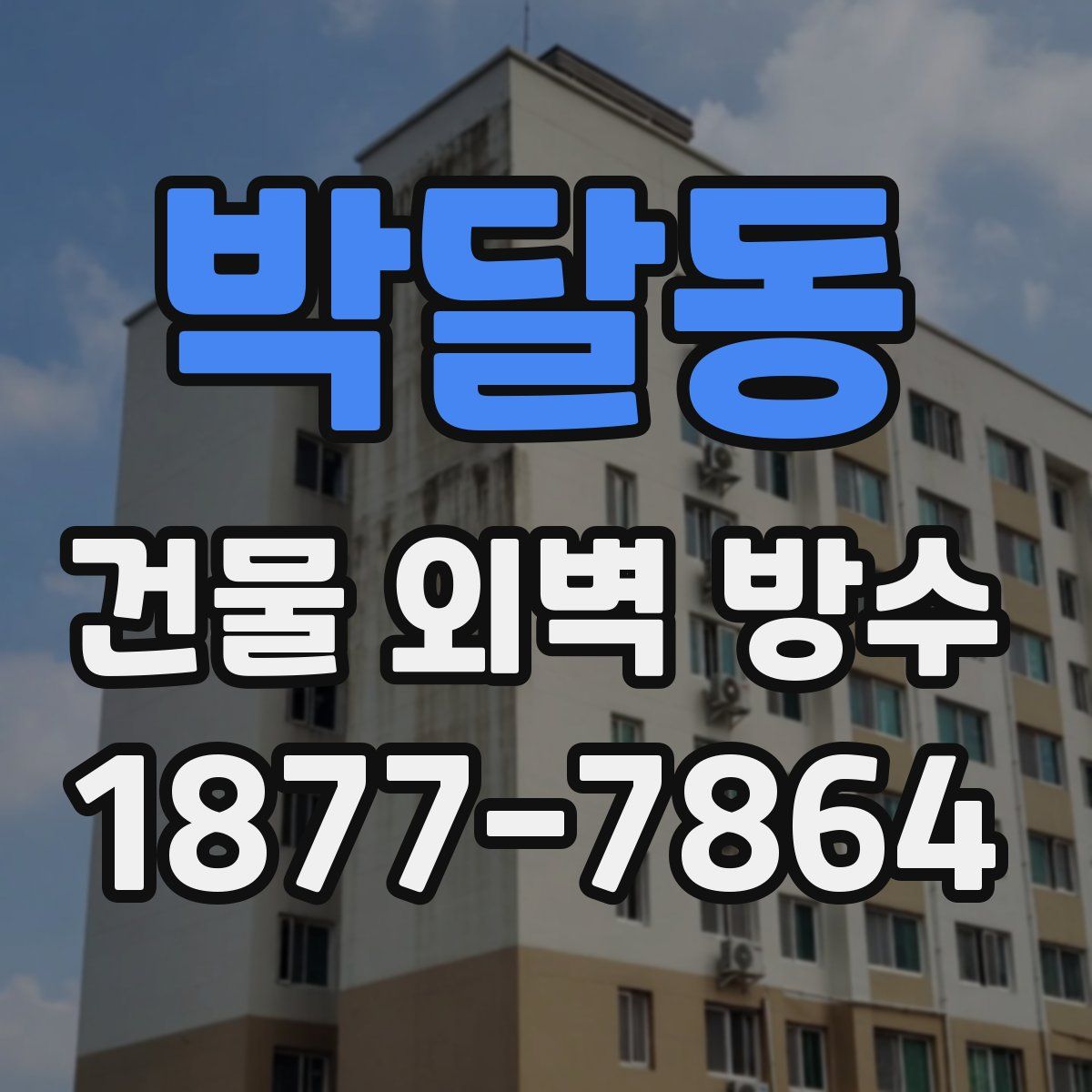 박달동 건물 외벽 방수