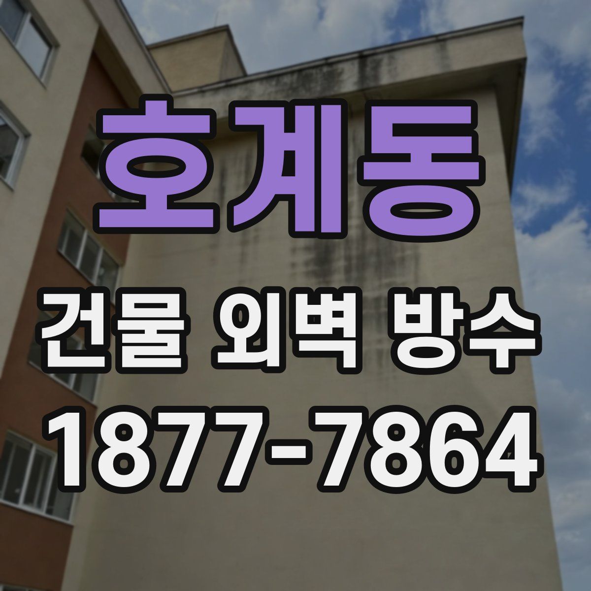 호계동 건물 외벽 방수