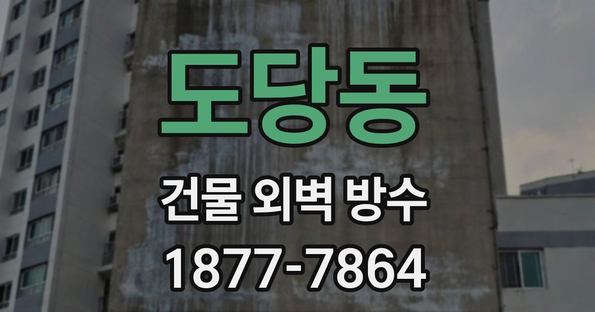 도당동 건물 외벽 방수
